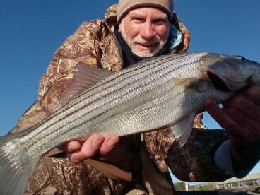 Chincoteague Report Photo 1