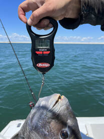 Nags Head Report Photo 2