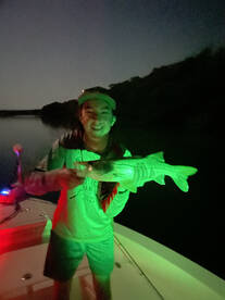 Islamorada Report Photo 2
