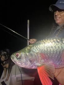 Islamorada Report Photo 1