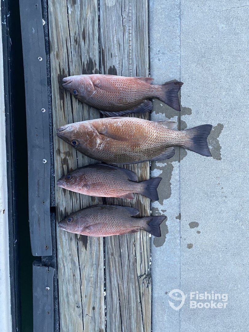Port Canaveral Report Photo 0