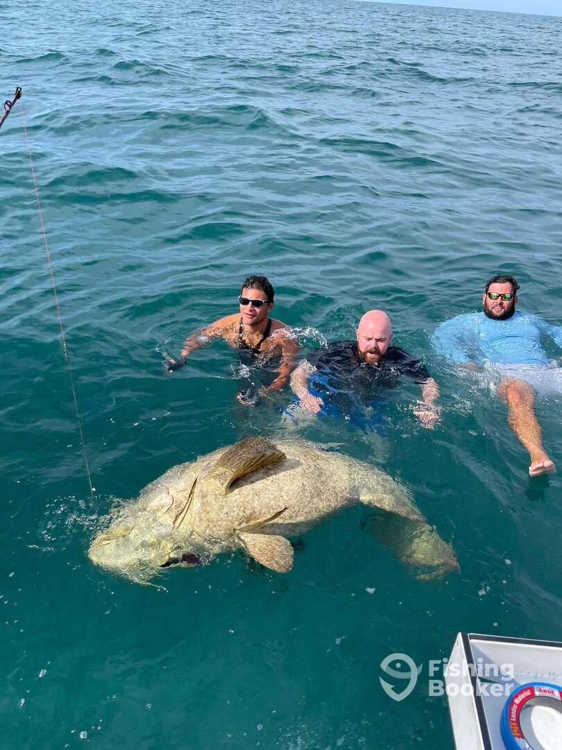 Clearwater Report Photo 0