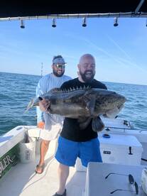 Clearwater Report Photo 1