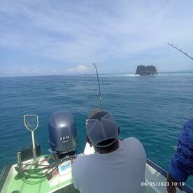 Puerto Jiménez Report Photo 2