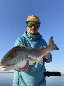 The bite is heating up!