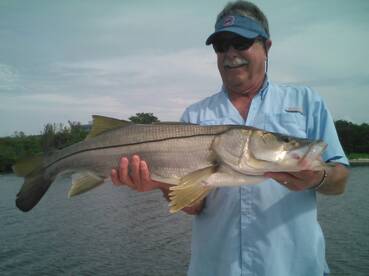 Tampa Report Photo 2