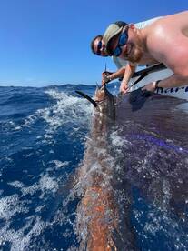 Playa Flamingo Report Photo 2