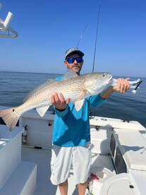 Gulf Shores Report Photo 1