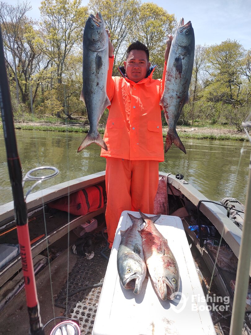 Mastic Report Photo 0