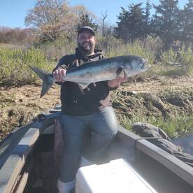 Mastic Report Photo 1