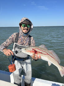 South Padre Island Report Photo 1