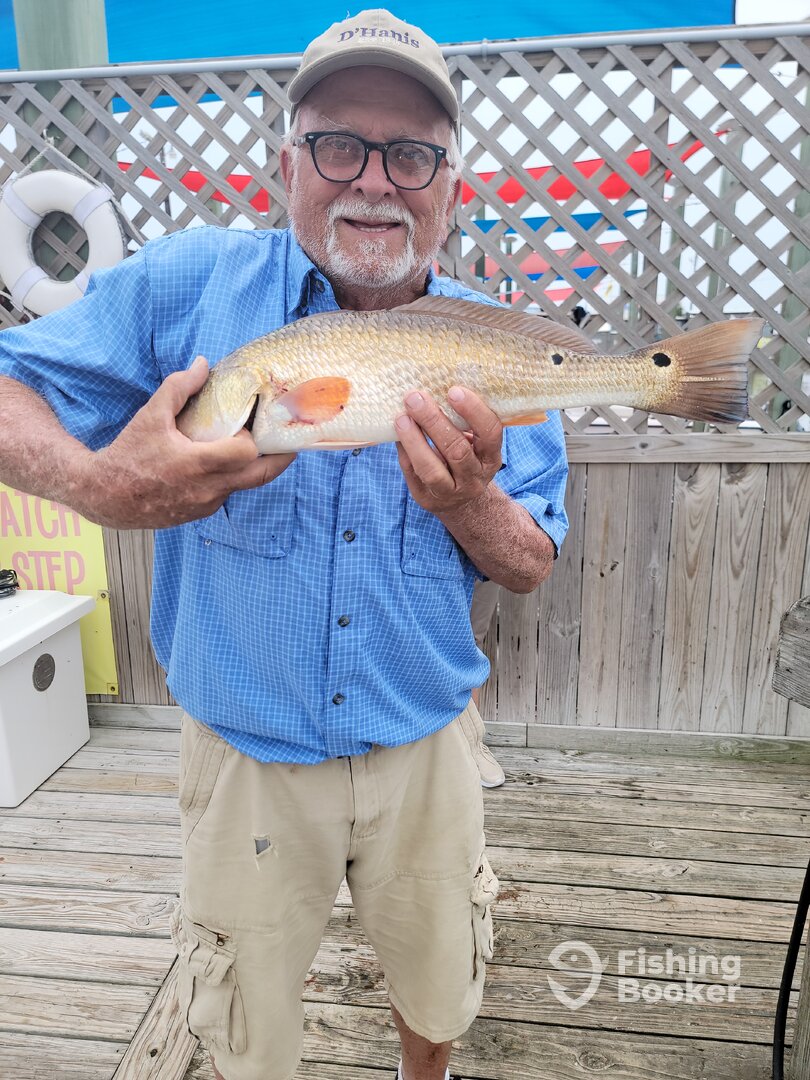 Corpus Christi Report Photo 0
