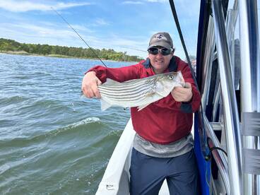 Lots of Rockfish at the Rt. 90 Bridge