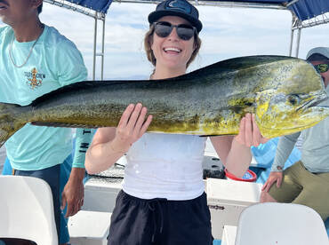 Mahi mahi on the fly