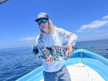 Sayulita Report Photo 2