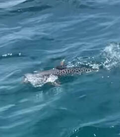 Unbelievable Fishing right now!!!