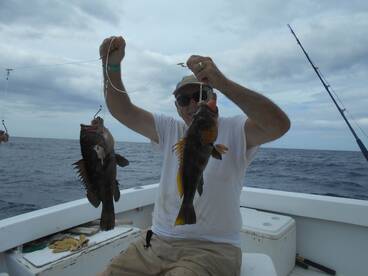 Lots of action inshore!