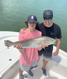 Belleair Bluffs Report Photo 2