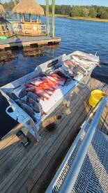 Bottom fishing is on fire