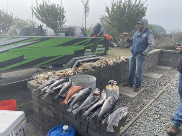 Garibaldi Report Photo 2