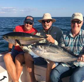 Great nearshore bite