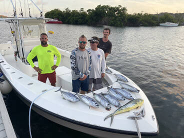 Afternoon Catch