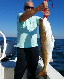 Pensacola Report Photo 1