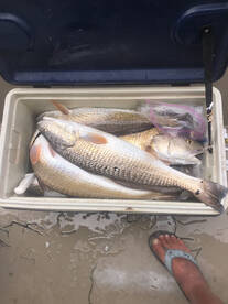 Rockport Report Photo 1