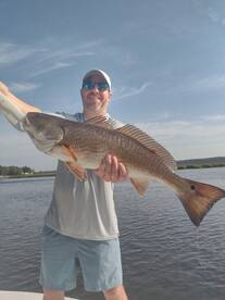 Bite was on this AM