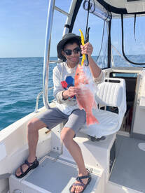 Palm Coast Report Photo 2