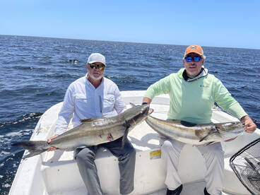 Apalachicola Report Photo 2