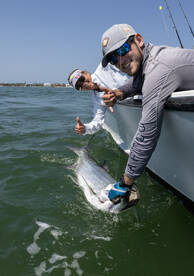 Great tarpon trip!