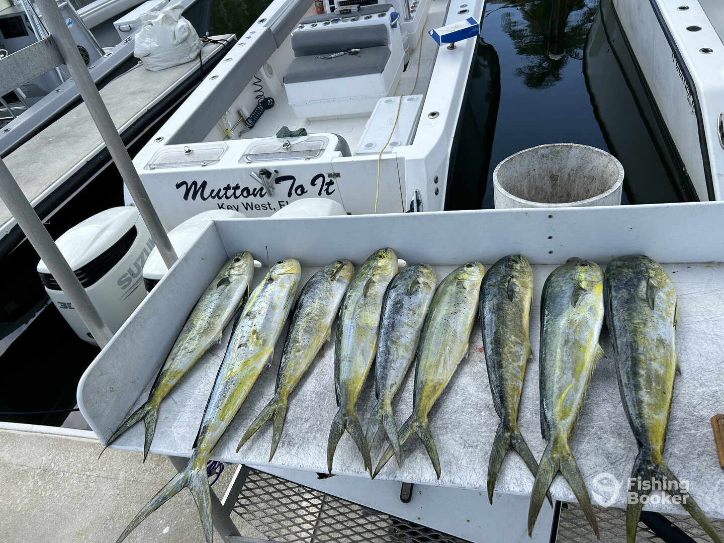 Stock Island Report Photo 0