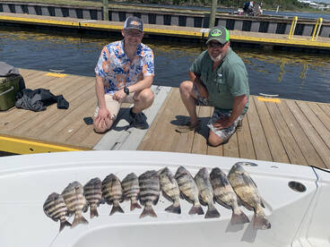 Crab eaters are here!!