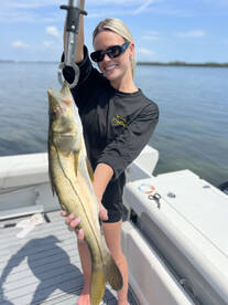 Inshore Snook Fired Up 