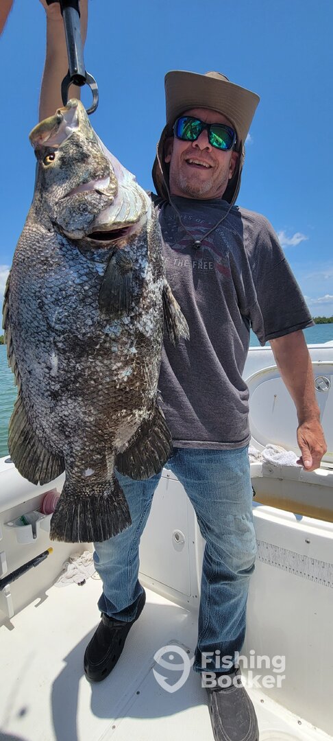 Marco Island Report Photo 0