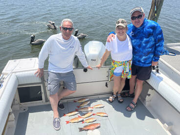 Palm Coast Report Photo 1