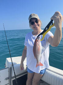 Palm Coast Report Photo 2