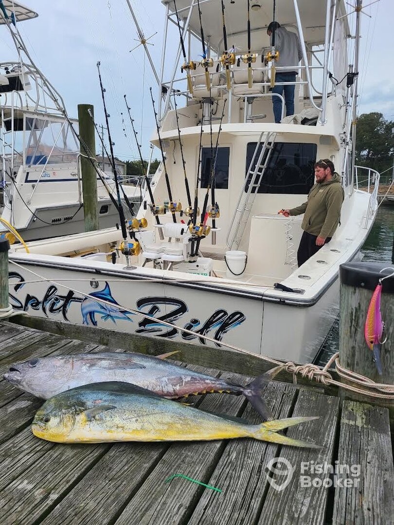 Ocean City Report Photo 0