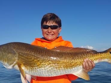 Gulf Shores Report Photo 2