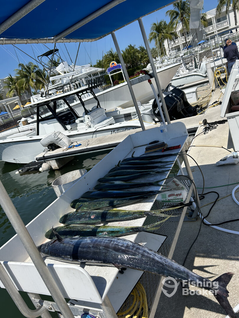 Stock Island Report Photo 0