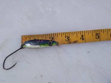 Ucluelet Report Photo 1