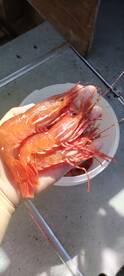 Ucluelet Report Photo 2