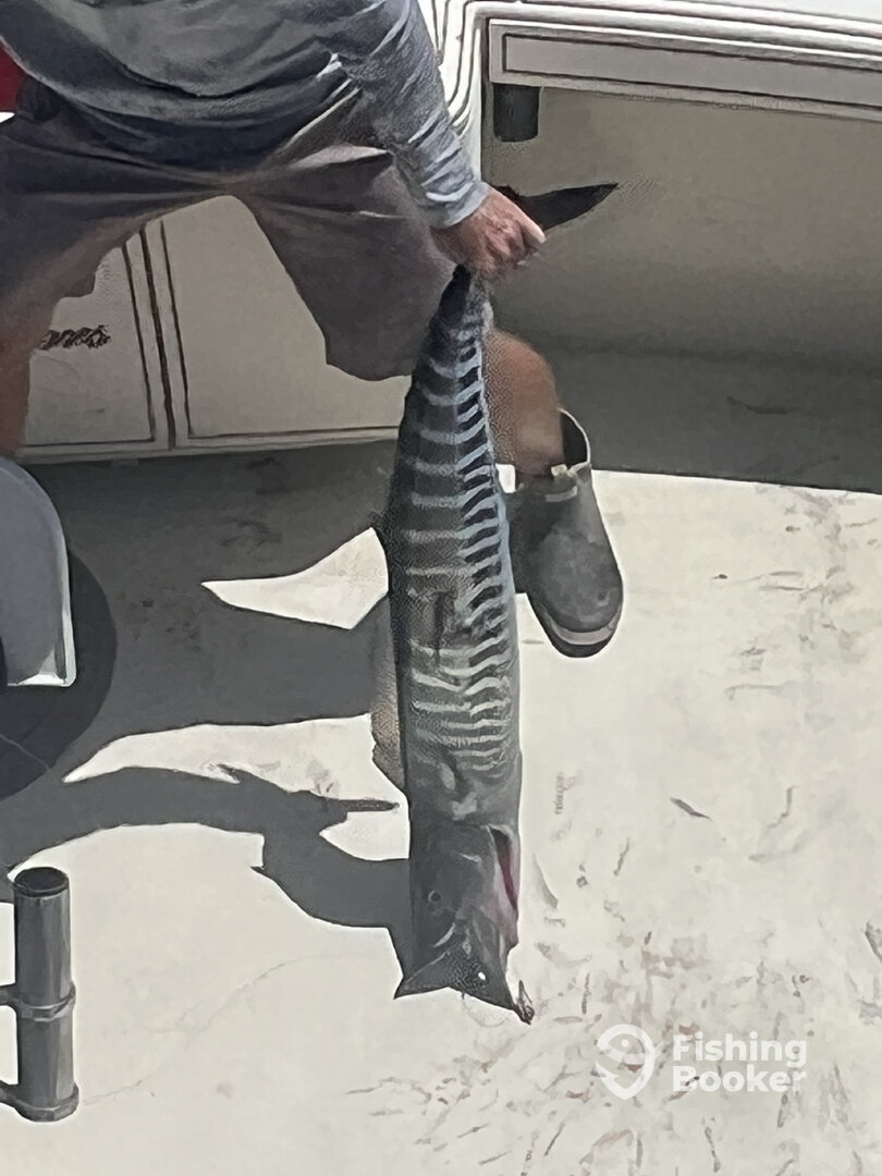 Carolina Beach Report Photo 0