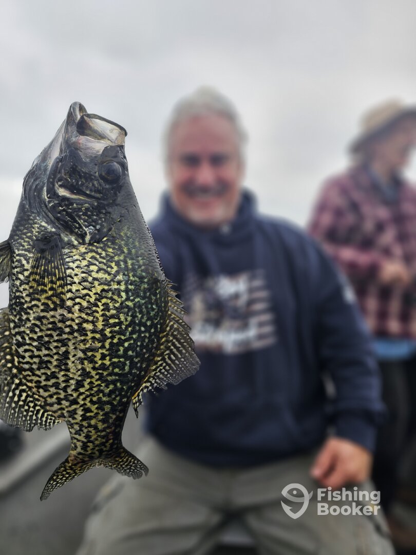 Big ol slabs ! Bobber down!!!