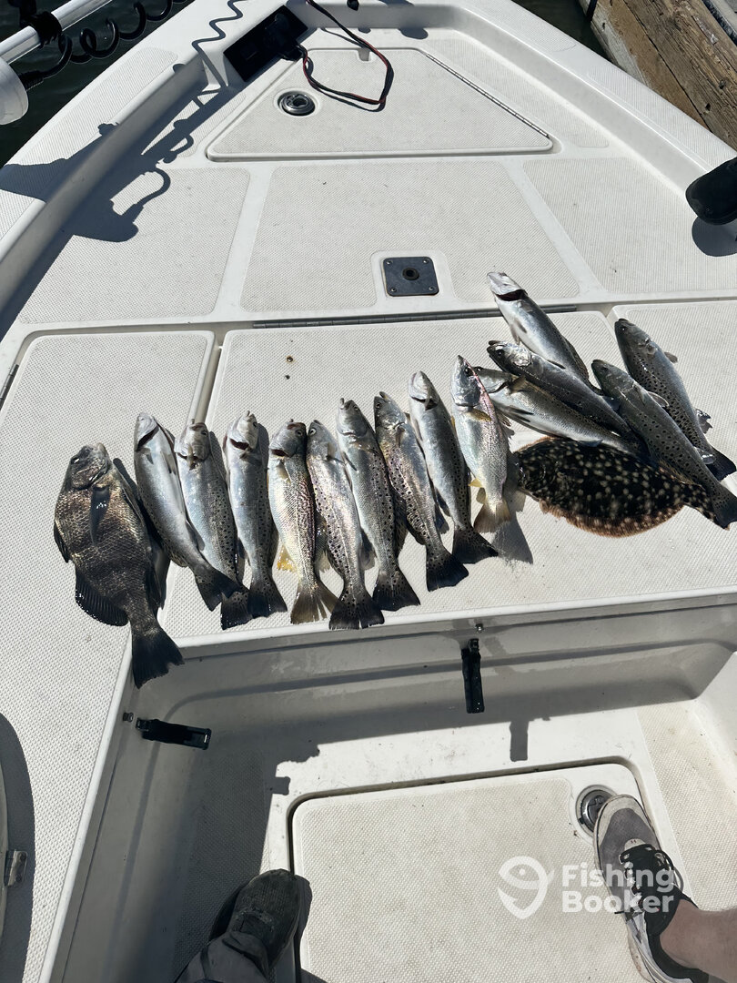 Jekyll Island Report Photo 0