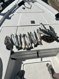 Let’s Go Fishing!! The bite is on ?