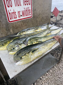 Port Orange Report Photo 2