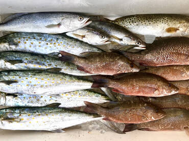 July started off with a BANG!