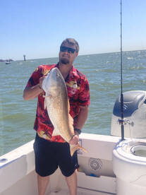 Galveston Report Photo 1